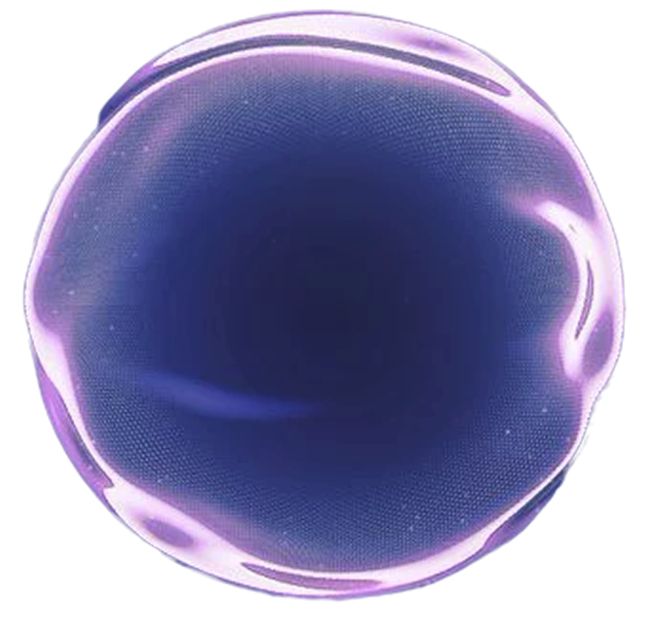 Voice AI Globe