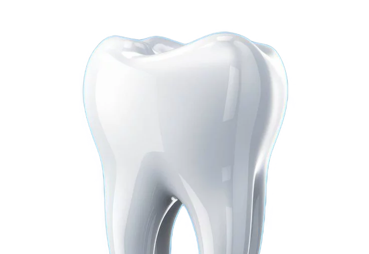 Dentist Portfolio