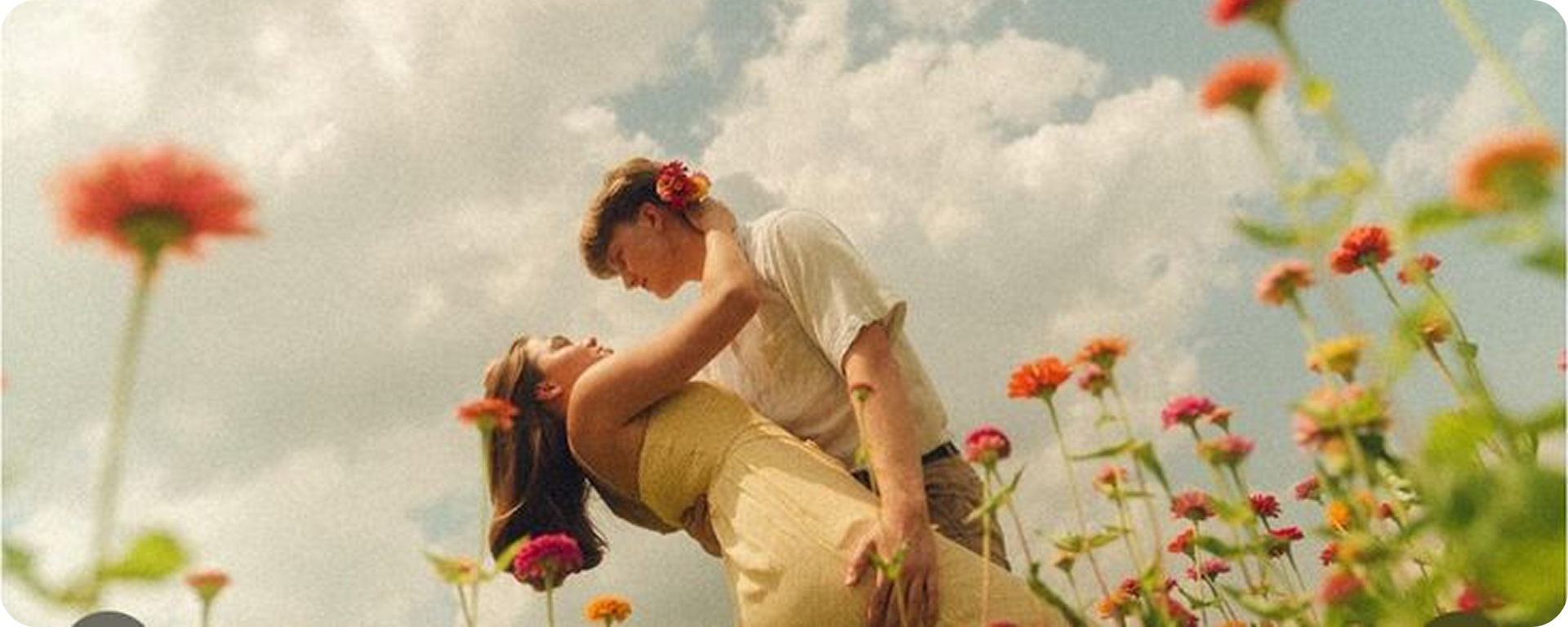 Couple in flower field — trust verified with OSINT Dating by ZenAI